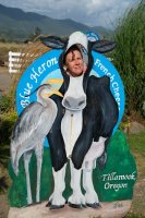  Le comté de Tillamook, célèbre pour ses produits laitiers